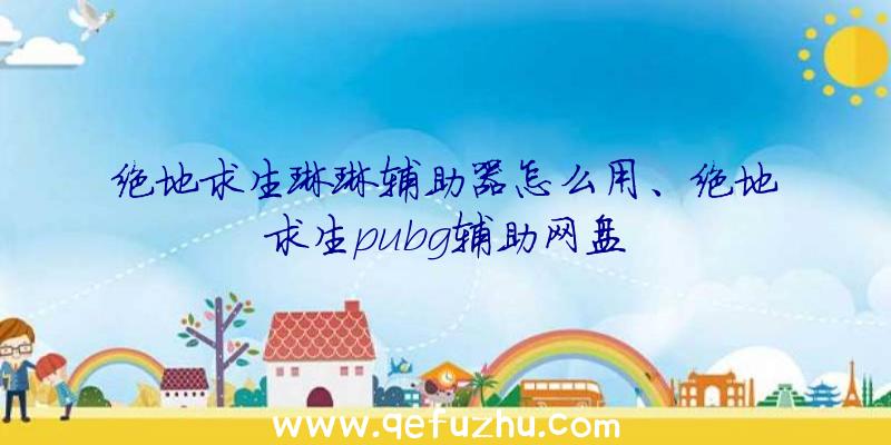 绝地求生琳琳辅助器怎么用、绝地求生pubg辅助网盘