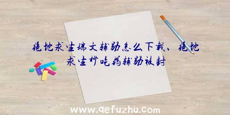 绝地求生瑞文辅助怎么下载、绝地求生秒吃药辅助被封