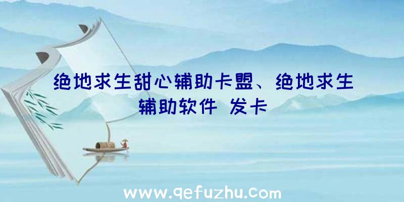 绝地求生甜心辅助卡盟、绝地求生辅助软件