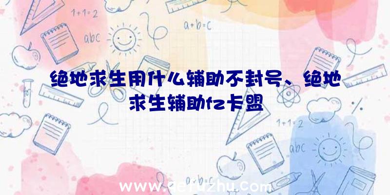 绝地求生用什么辅助不封号、绝地求生辅助fz卡盟