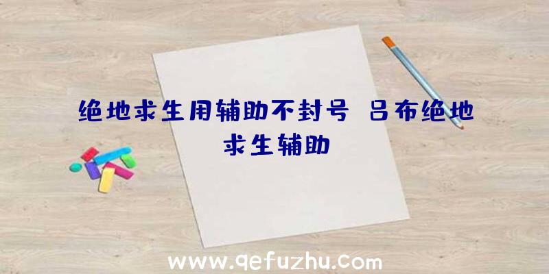 绝地求生用辅助不封号、吕布绝地求生辅助