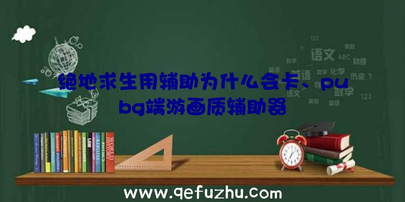 绝地求生用辅助为什么会卡、pubg端游画质辅助器