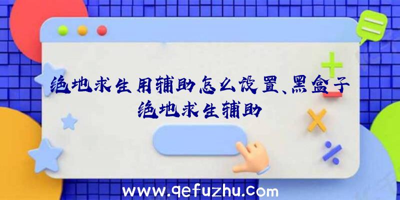 绝地求生用辅助怎么设置、黑盒子绝地求生辅助