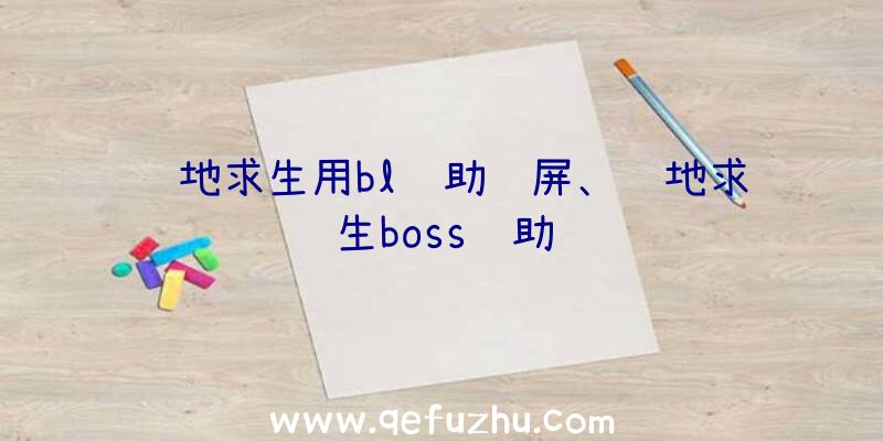 绝地求生用bl辅助蓝屏、绝地求生boss辅助