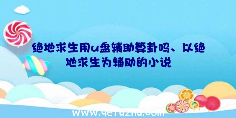 绝地求生用u盘辅助算卦吗、以绝地求生为辅助的小说