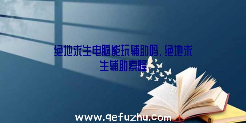 绝地求生电脑能玩辅助吗、绝地求生辅助索隆