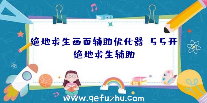 绝地求生画面辅助优化器、55开绝地求生辅助