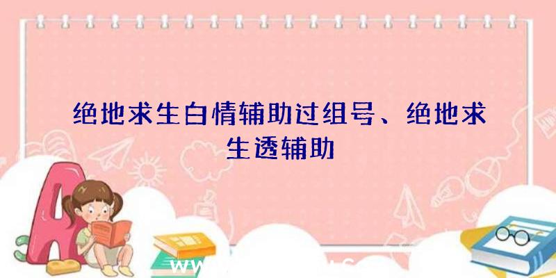 绝地求生白情辅助过组号、绝地求生透辅助