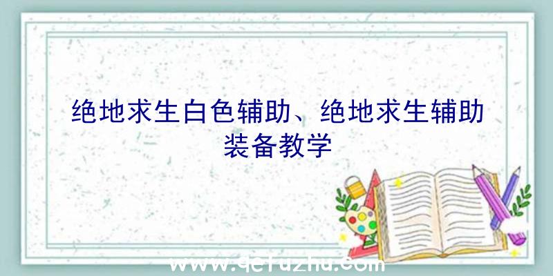 绝地求生白色辅助、绝地求生辅助装备教学