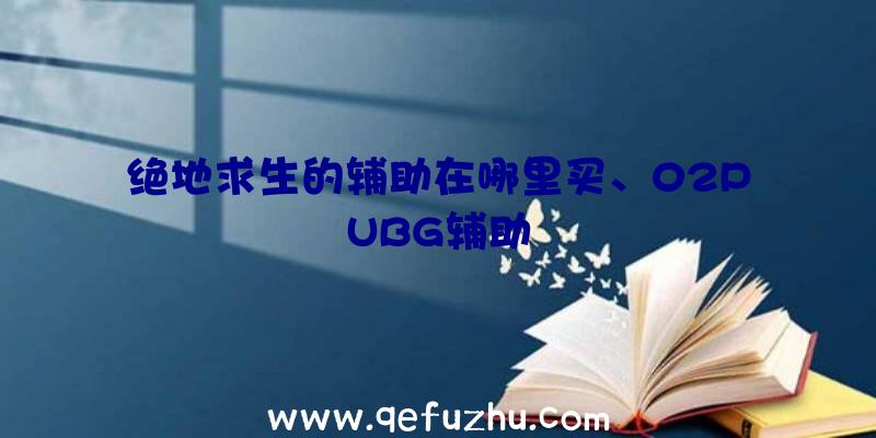 绝地求生的辅助在哪里买、02PUBG辅助