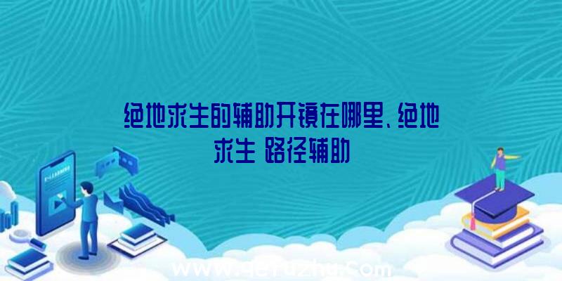 绝地求生的辅助开镜在哪里、绝地求生