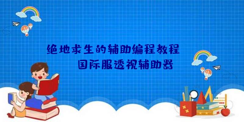 绝地求生的辅助编程教程、pubg国际服透视辅助器