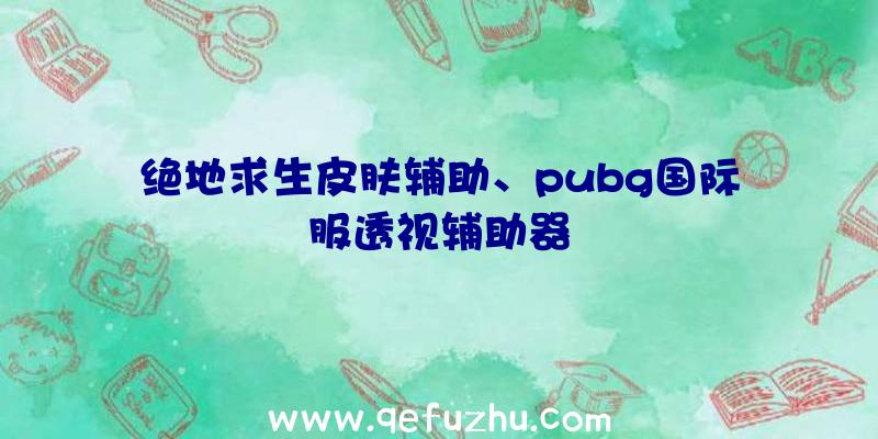 绝地求生皮肤辅助、pubg国际服透视辅助器