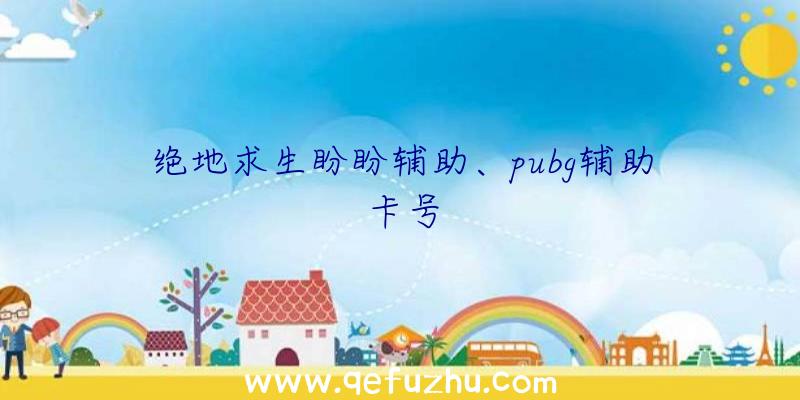 绝地求生盼盼辅助、pubg辅助卡号