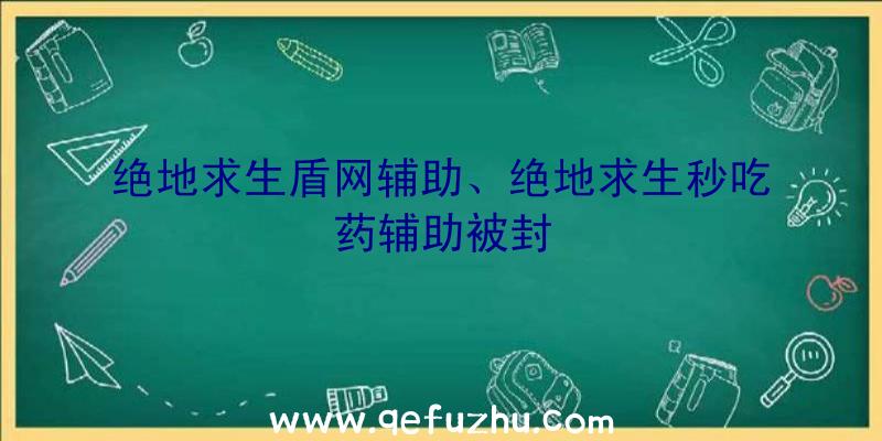 绝地求生盾网辅助、绝地求生秒吃药辅助被封