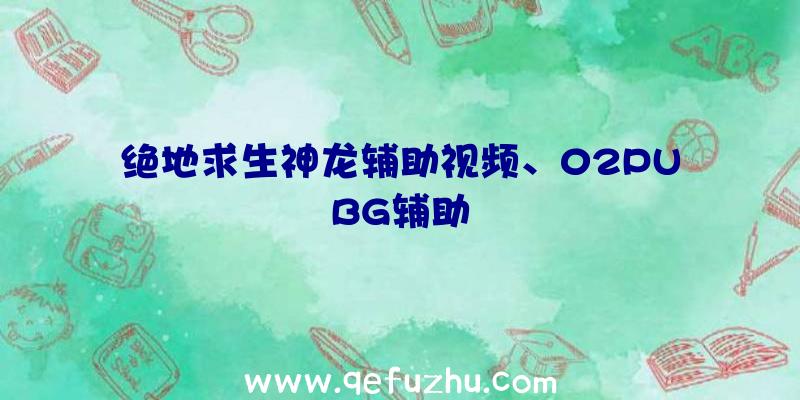 绝地求生神龙辅助视频、02PUBG辅助