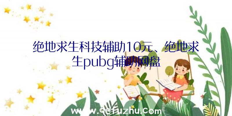 绝地求生科技辅助10元、绝地求生pubg辅助网盘