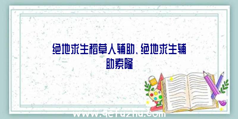 绝地求生稻草人辅助、绝地求生辅助索隆