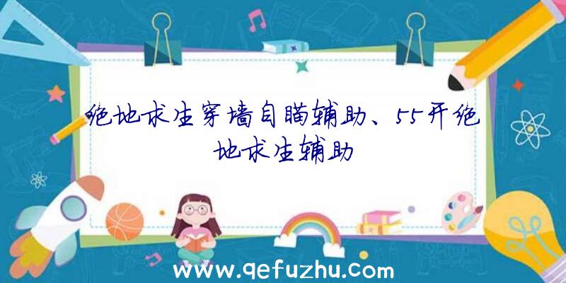 绝地求生穿墙自瞄辅助、55开绝地求生辅助