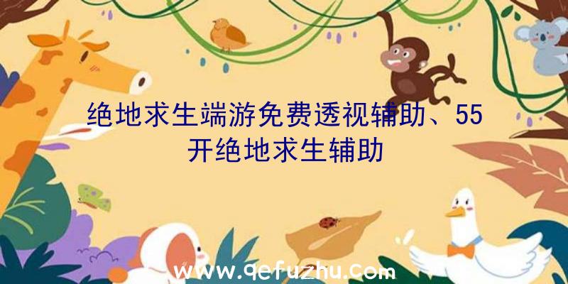 绝地求生端游免费透视辅助、55开绝地求生辅助