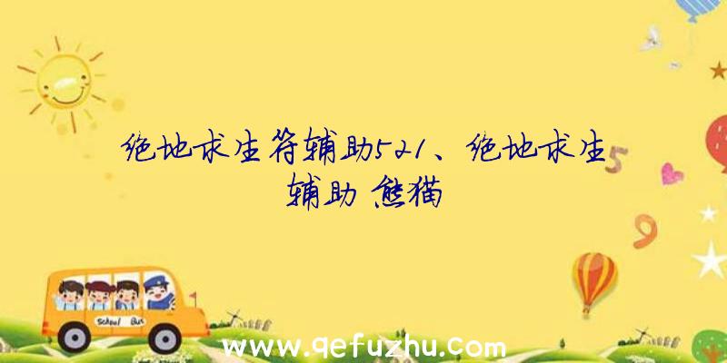 绝地求生符辅助521、绝地求生辅助