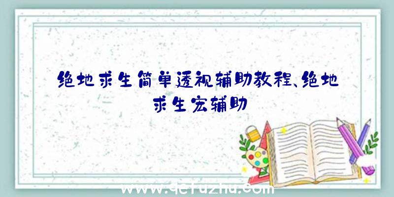 绝地求生简单透视辅助教程、绝地求生宏辅助