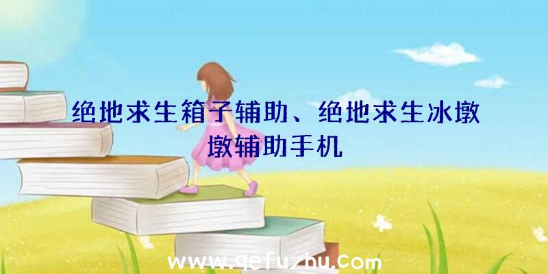 绝地求生箱子辅助、绝地求生冰墩墩辅助手机