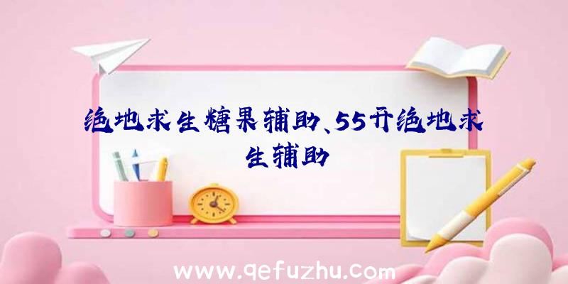 绝地求生糖果辅助、55开绝地求生辅助