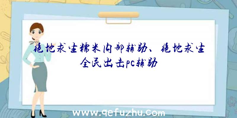 绝地求生糯米内部辅助、绝地求生全民出击pc辅助