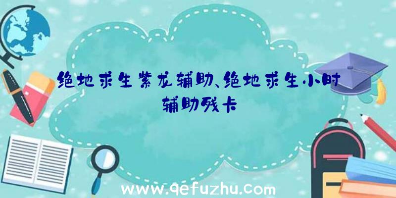 绝地求生紫龙辅助、绝地求生小时辅助残卡