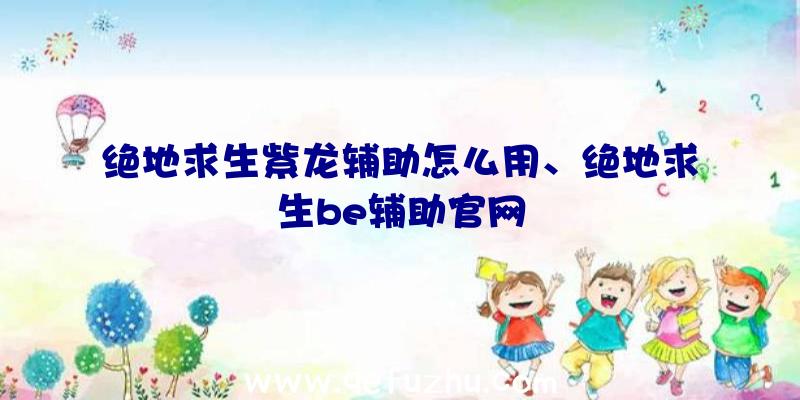 绝地求生紫龙辅助怎么用、绝地求生be辅助官网