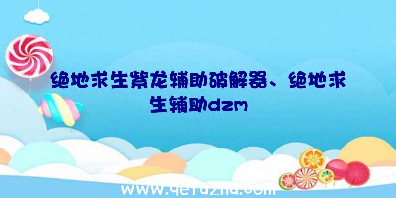 绝地求生紫龙辅助破解器、绝地求生辅助dzm