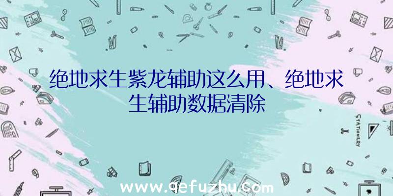 绝地求生紫龙辅助这么用、绝地求生辅助数据清除