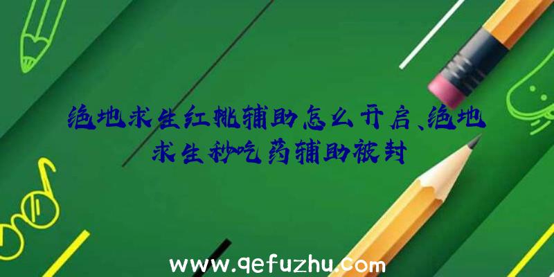 绝地求生红桃辅助怎么开启、绝地求生秒吃药辅助被封