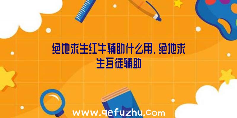 绝地求生红牛辅助什么用、绝地求生歹徒辅助