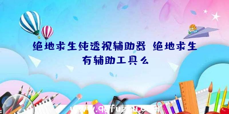 绝地求生纯透视辅助器、绝地求生有辅助工具么