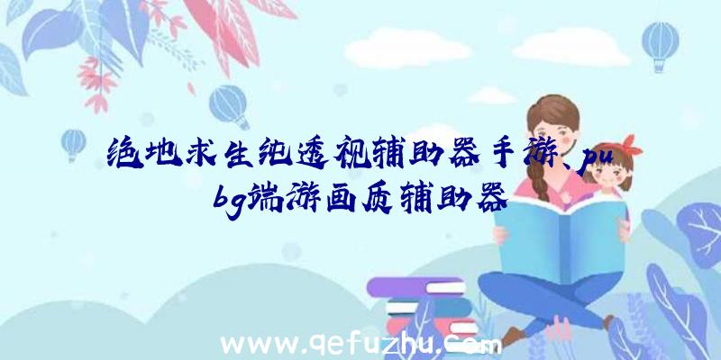 绝地求生纯透视辅助器手游、pubg端游画质辅助器