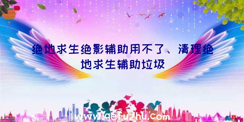 绝地求生绝影辅助用不了、清理绝地求生辅助垃圾