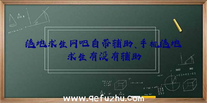 绝地求生网吧自带辅助、手机绝地求生有没有辅助