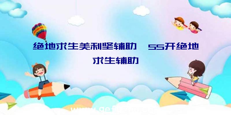 绝地求生美利坚辅助、55开绝地求生辅助