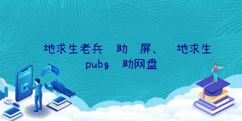 绝地求生老兵辅助蓝屏、绝地求生pubg辅助网盘