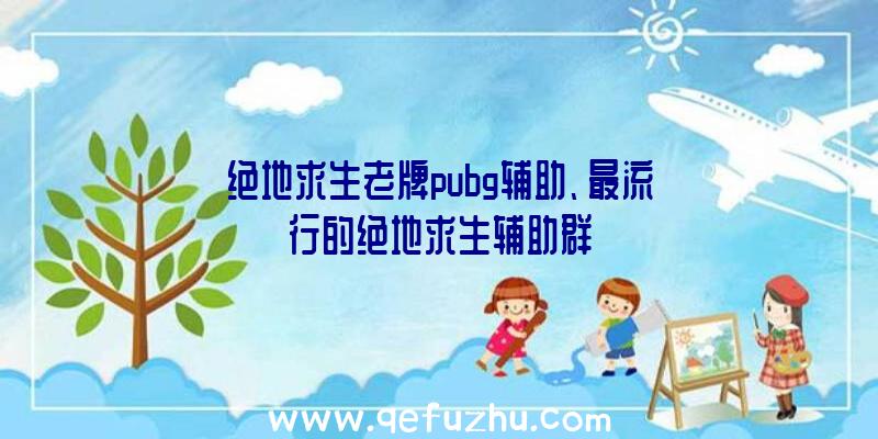 绝地求生老牌pubg辅助、最流行的绝地求生辅助群