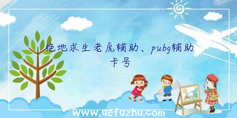 绝地求生老虎辅助、pubg辅助卡号