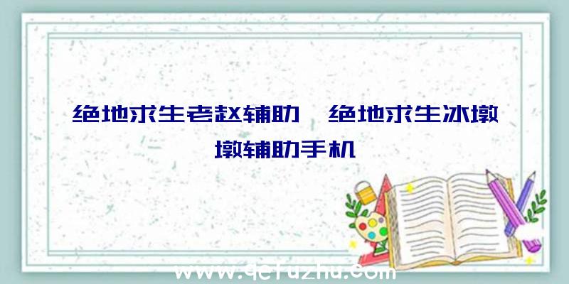 绝地求生老赵辅助、绝地求生冰墩墩辅助手机