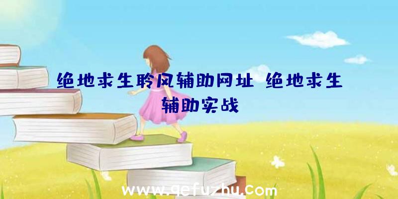 绝地求生聆风辅助网址、绝地求生辅助实战