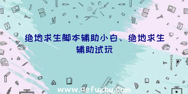 绝地求生脚本辅助小白、绝地求生辅助试玩