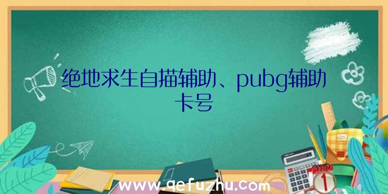 绝地求生自描辅助、pubg辅助卡号