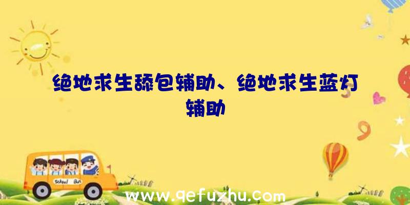 绝地求生舔包辅助、绝地求生蓝灯辅助