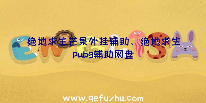 绝地求生芒果外挂辅助、绝地求生pubg辅助网盘