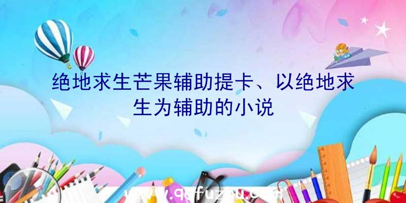 绝地求生芒果辅助提卡、以绝地求生为辅助的小说